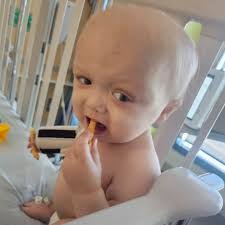 Kayla Traster's Instagram, Twitter & Facebook