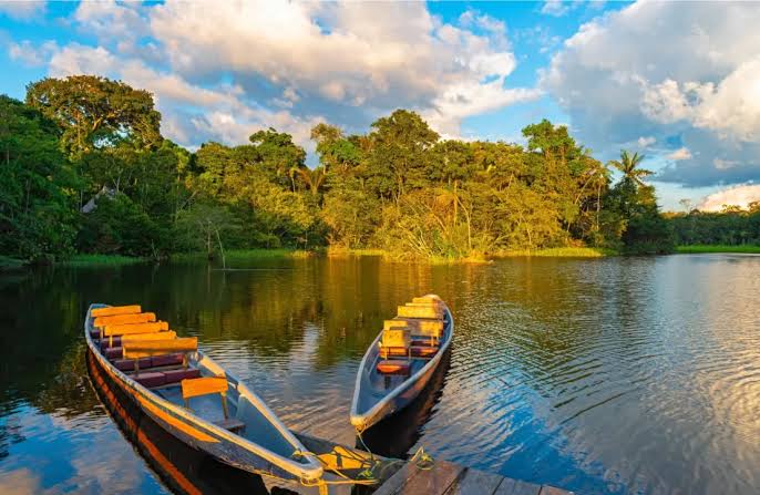 Amazon River Rainforest Peru