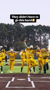 Dalton McCartney, OPE, we meant Mauldin is soooo dreamy🤪🎶 #baseball  #2000sthrowback #MLB #savannahbananas #pleasepleaseplease #millennials  #jessemccartney