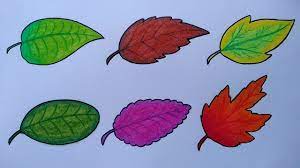 Bayam chard sayuran gambar pn. Cara Menggambar Dan Mewarnai Daun Menggambar Macam Macam Daun Youtube