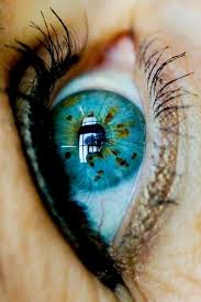 Can We Guess Your Eye Color Beautiful Eyes Color Beautiful Eyes Stunning Eyes