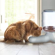 VaygWay Self-Dispensing Pet Feeder