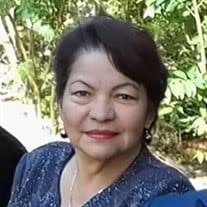 Telma Esperanza Canahui Obituary (2024)