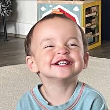 Mice in chicken coop: what to do?