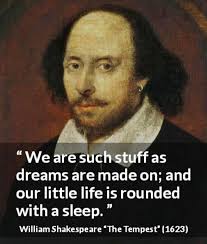 Zoro's Abilities and Sleeping in the Air