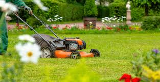 It's a good idea to remove the grass blades that died over the winter to prevent that dead grass turning into a thatch layer that chokes out new growth. Early Spring Lawn Care Carolina Fresh Farms