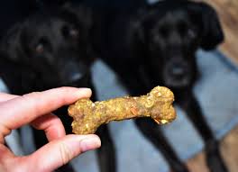 The first step toward your dog's good health is a great relationship with your veterinarian. Diabetic Dog Treats Recipe Allrecipes