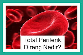 Total Periferik Direnc Nedir Rehber Anatomi Egitim