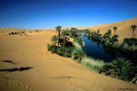 Desert oasis is a black desert column written by carlo lacsina. Virtual Oases The Exponent Deserts Of The World Desert Life Oasis