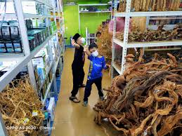 Maybe you would like to learn more about one of these? Syazni Rahim Blog