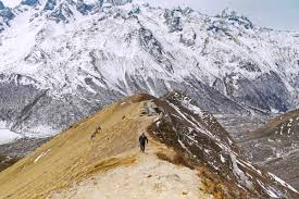 Langtang trek - a 2023 guide & itinerary - STINGY NOMADS