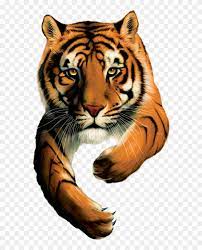 Branded qr codes get up to 40% more scans than traditional black and white qr codes. Tiger Brands Logo Tiger Brands Hd Png Download 2272x1704 4217472 Pngfind
