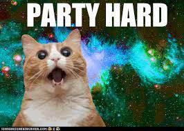 When It S Time To Party We Will Party Hard Cat Party Cat Animation Partying Hard