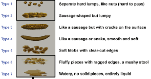 The Bristol Stool Form Scale 12 Download Scientific Diagram