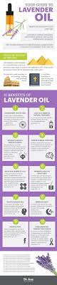 10 Lavender Oil Benefits For Major Diseases Minor Ailments Dr Axe Lavender Oil Benefits Oil Benefits Essential Oil Benefits