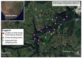 We did not find results for: Frontiers Local Geomorphological Gradients And Land Use Patterns Play Key Role On The Soil Bacterial Community Diversity And Dynamics In The Highly Endemic Indigenous Afrotemperate Coastal Scarp Forest Biome Microbiology