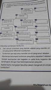 Soal & jawaban pat/ukk bahasa indonesia kelas 7 smp/mts 2021. Tolong Dijawab Kak Ipa Kelas 7 Semester 1 Halaman 53 Brainly Co Id