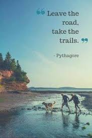 Road trips are the equivalent of human wings. Leave The Road Take The Trails Travel Quotes To Live By Inspiration Motivation Travel Ideas M Nature Quotes Adventure Nature Quotes Adventure Quotes