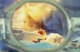 a weekly look at premature babies and complications