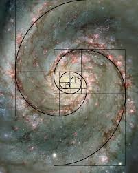 Qué fuerza sobre el Universo hace que un caracol, una ola o una galaxia  sigan la forma de espiral de Fibonacci?