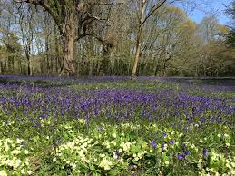 Within walking distance of everything that truro has to offer, the alverton makes the perfect base for exploring cornwall. Die 6 Schonsten Garten Cornwalls Versteckt Gelegene Garten Urlaub Reisen