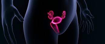 We did not find results for: Ø£Ø¹Ø±Ø§Ø¶ Ù…ÙŠÙ„Ø§Ù† Ø§Ù„Ø±Ø­Ù… ÙˆØ£Ø³Ø¨Ø§Ø¨Ù‡ ØªØ¹Ø±Ù Ø¹Ù„ÙŠÙ‡Ø§ ÙˆÙŠØ¨ Ø·Ø¨