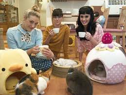 Katy Perry Visits A Tokyo Cat Cafe With Her Besties Cat Cafe Cat Cafe Japan Katy Perry
