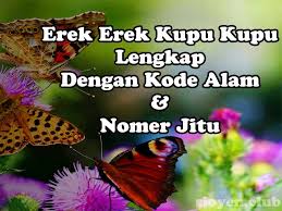 Erek Erek Kupu Kupu Lengkap Dengan Kode Alam Dan Angka Jitu Si Oyen
