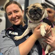 Karingal Veterinary Hospital