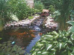 Maybe you would like to learn more about one of these? How To Maintain Your Koi Pond In Winter