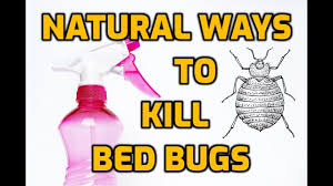 Unlike other kits you may find, the do my own pest control kits contain the most effective products available based on the most current research. Natural Ways To Kill Bed Bugs 7 Diy Methods Youtube