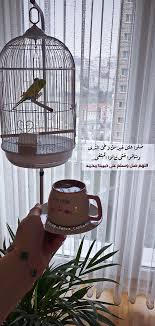 اللهم صل وسلم على حبيبنا محمد Home Appliances Cool Braid Hairstyles Cool Braids