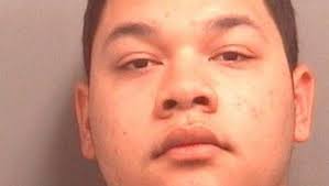 Sheriff deputy's son accused of taking patrol car