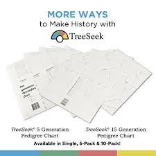 Treeseek Genealogy Fan Wall Chart Large Blank Fillable Pedigree Form For Family History And Ancestry
