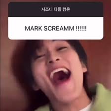 I can’t stop laughing 😭 #mark#kpop#fyp#idols#nct#  #nct127#nctdream#kpopfyp# #kpopidols#fyppp#meme# #kpopidols#kpopnct#CapCut