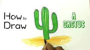 Learn how to draw a cactus with the help of our drawing lessons! How To Draw A Cactus Youtube