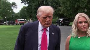 How experts say Donald Trump set his own trap on the Jeffrey Epstein files  - ABC News