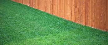 Sunco recommends aeration service in both the spring and fall. Fall Season Fertilizer And Weeding Tips