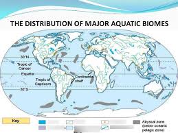 Ch 40 2 Aquatic Biomes Biology Diagram Quizlet