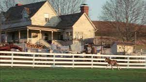 Racing Stripes 2005 Yify Download Movie Torrent Yts