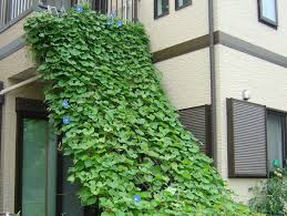 ウチコト - 東京ガス