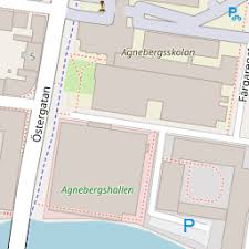 Erich Raupach (63 år) Uddevalla