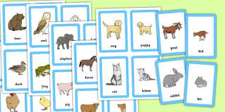 Animals And Their Young Matching Cards Baby Animals Animal Matching Game Young Animal