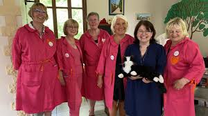 Saint-Nicolas : un chat interactif, nouveau résident à l'Ehpad, pour lutter  contre l'anxiété et permettre le lien social