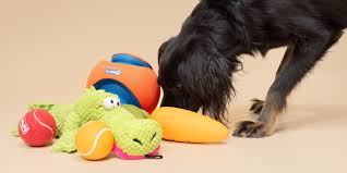 Smart Pet Toys
