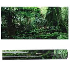 Image result for Terrarium Cling Background