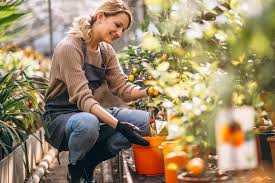 Aspca pet insurance offers different types of coverage for your furry friends. Does A Farm Need Insurance Advantage Insurance Solutions