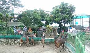 Jepang, kebun binatang, bantoroyo, green lazzata house). 39 Tempat Wisata Di Bukittinggi Terbaru Hits 2021