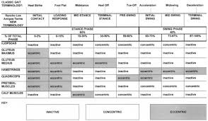 Gait Cycle Foot Ankle Orthobullets