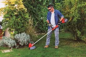 What a person with not enough friends to throw a party calls it when they throw a party. The Rise Of Batteries In Machinery For Gardening